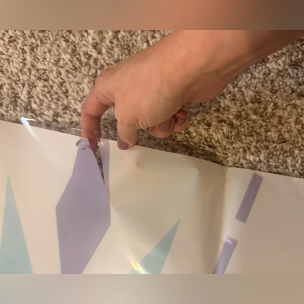 Frozen Themed Party Decorations and Supplies